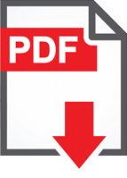 Großes PDF Icon